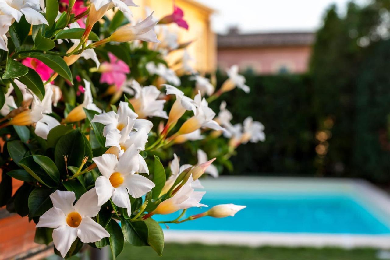 Albergo Ristorante Il Terziere تريفي المظهر الخارجي الصورة